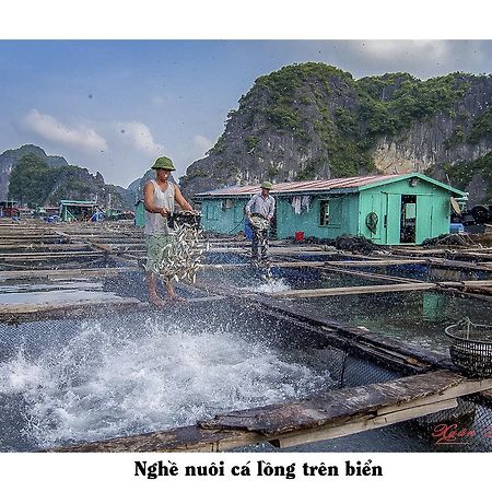 Cat Ba Hostel Cat Ba Island Kültér fotó