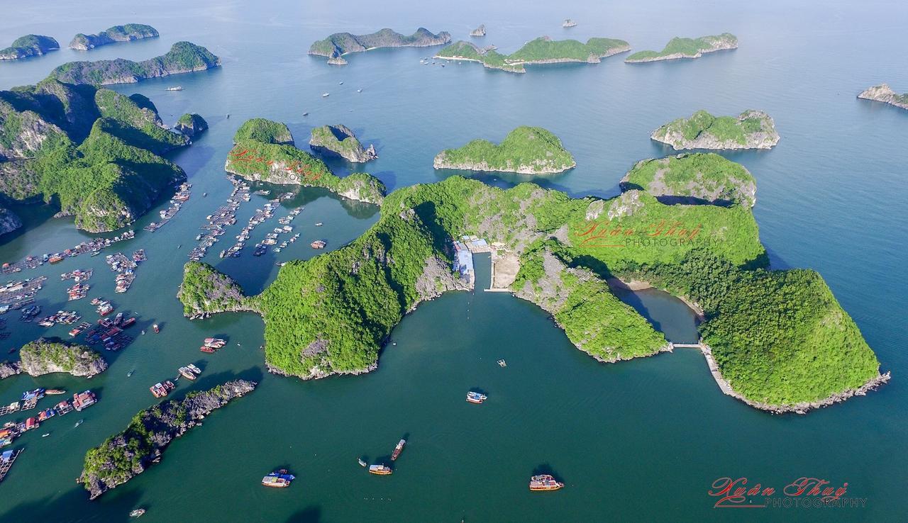 Cat Ba Hostel Cat Ba Island Kültér fotó