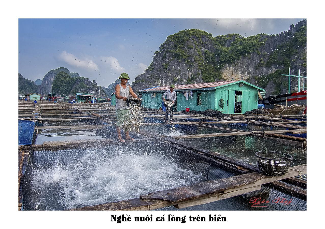 Cat Ba Hostel Cat Ba Island Kültér fotó