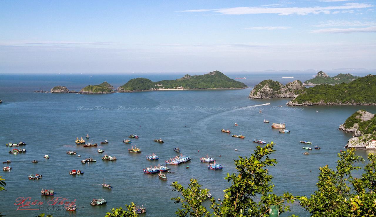 Cat Ba Hostel Cat Ba Island Kültér fotó